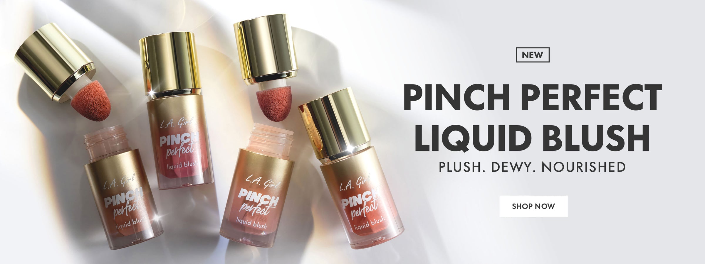 Pinch Perfect Liquid Blush — desktop banner