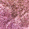 GES248 Aura swatch